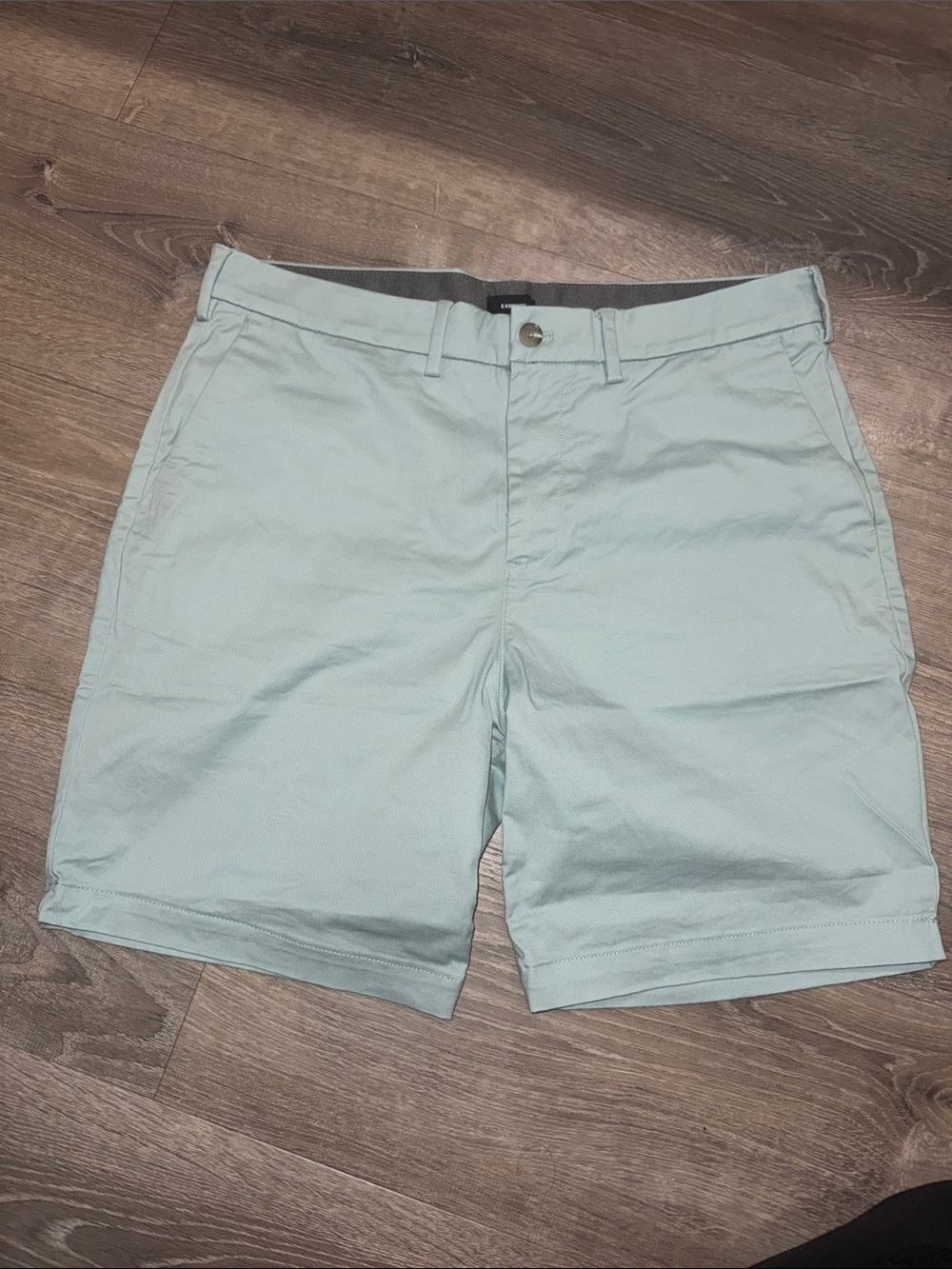 Men's Light Mint Chino Shorts